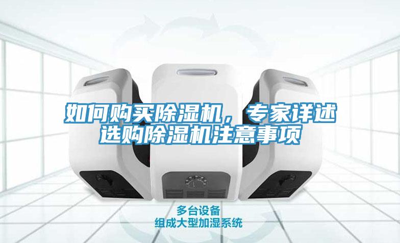 如何購買蘑菇视频网站，專家詳述選購蘑菇视频网站注意事項