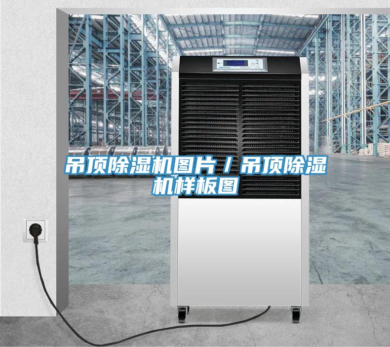 吊頂蘑菇视频网站圖片／吊頂蘑菇视频网站樣板圖