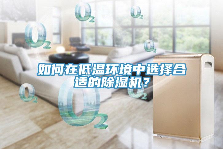 如何在低溫環境中選擇合適的蘑菇视频网站？