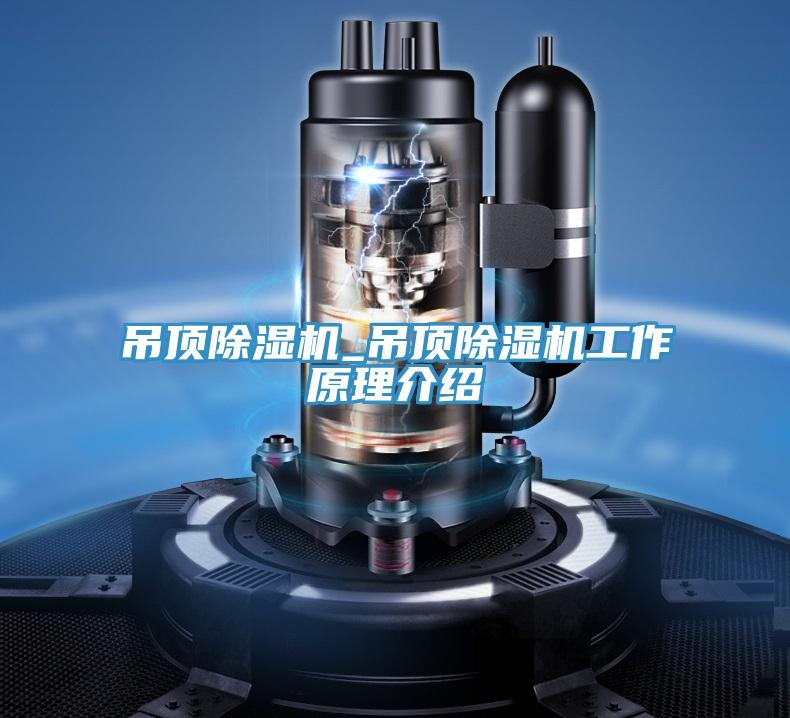 吊頂蘑菇视频网站_吊頂蘑菇视频网站工作原理介紹