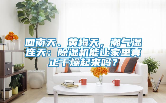回南天、黃梅天，潮氣濕連天：蘑菇视频网站能讓家裏真正幹燥起來嗎？