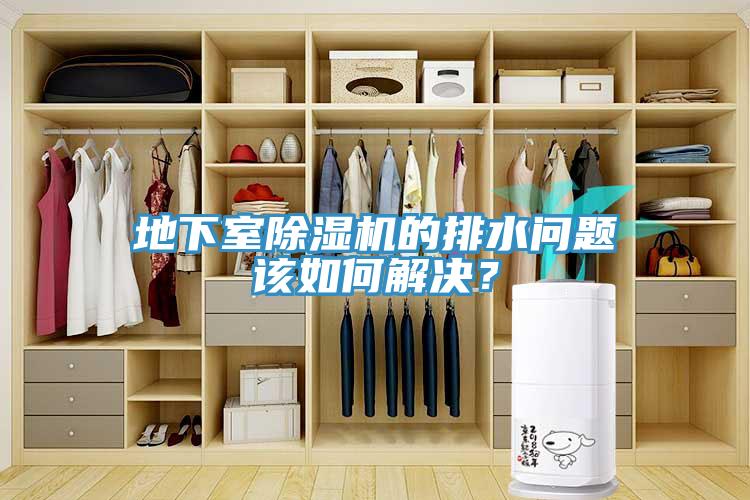 地下室蘑菇视频网站的排水問題該如何解決？