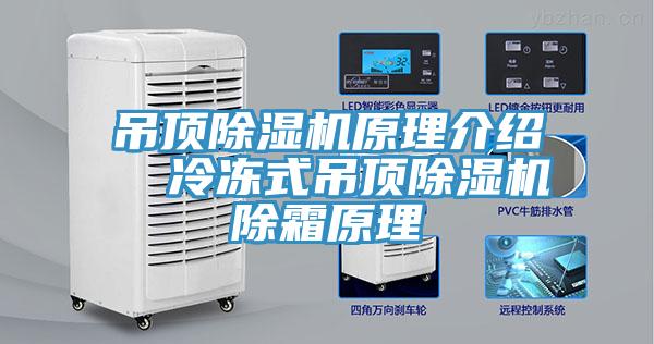 吊頂蘑菇视频网站原理介紹  冷凍式吊頂蘑菇视频网站除霜原理