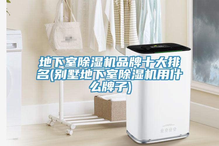 地下室蘑菇视频网站品牌十大排名(別墅地下室蘑菇视频网站用什麽牌子)