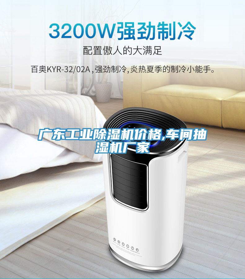 廣東工業蘑菇视频网站價格,車間抽濕機廠家