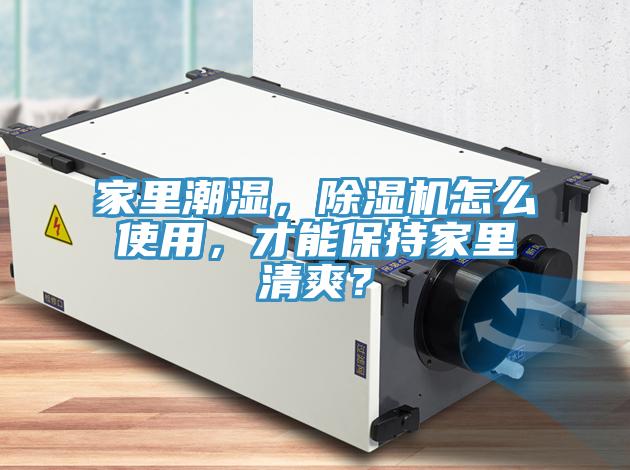 家裏潮濕，蘑菇视频网站怎麽使用，才能保持家裏清爽？