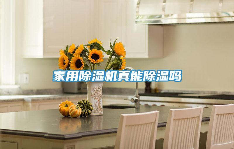 家用蘑菇视频网站真能除濕嗎