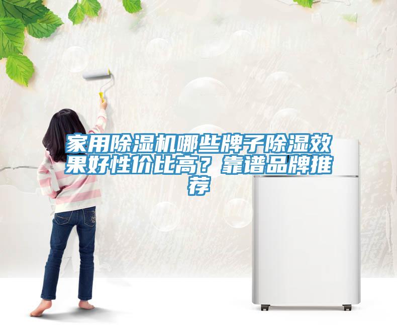 家用蘑菇视频网站哪些牌子除濕效果好性價比高？靠譜品牌推薦