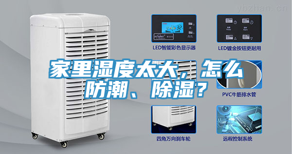 家裏濕度太大，怎麽防潮、除濕？