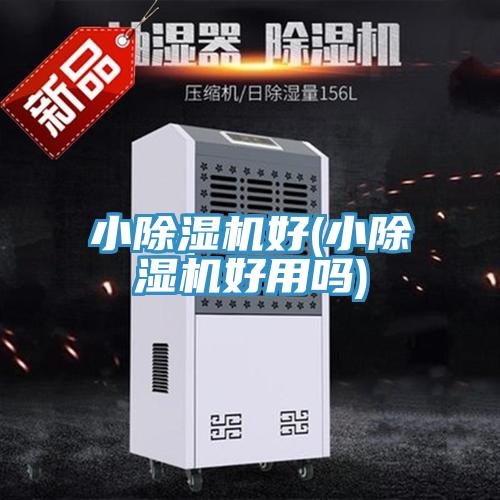 小蘑菇视频网站好(小蘑菇视频网站好用嗎)