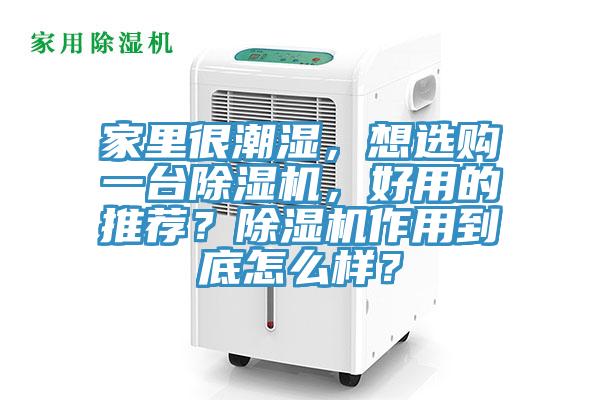家裏很潮濕，想選購一台蘑菇视频网站，好用的推薦？蘑菇视频网站作用到底怎麽樣？