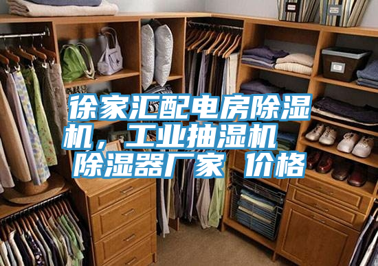 徐家匯配電房蘑菇视频网站，工業抽濕機  除濕器廠家 價格