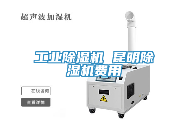 工業蘑菇视频网站 昆明蘑菇视频网站費用