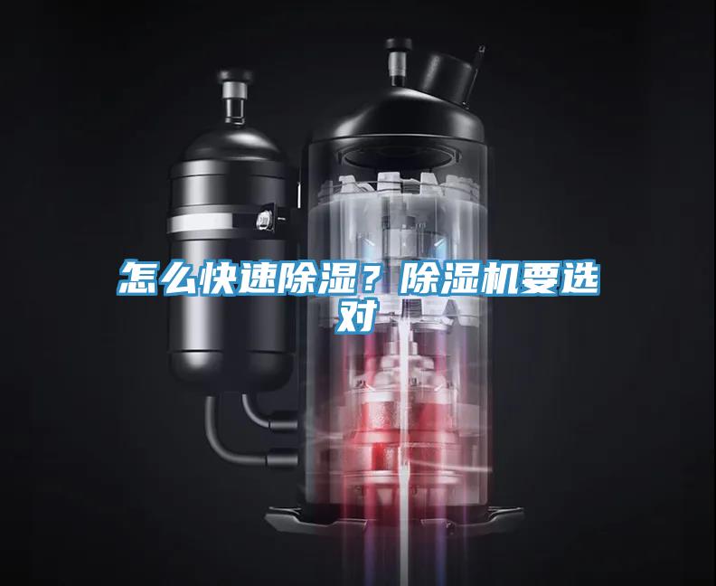 怎麽快速除濕？蘑菇视频网站要選對