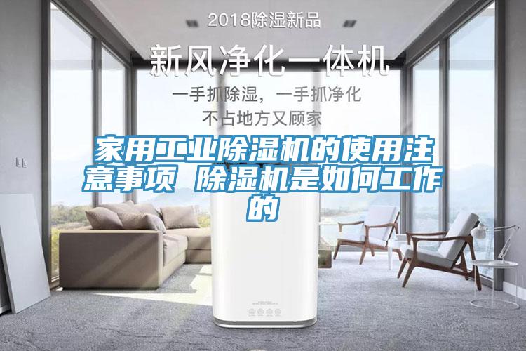 家用工業蘑菇视频网站的使用注意事項 蘑菇视频网站是如何工作的