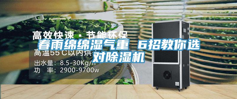 春雨綿綿濕氣重 6招教你選對蘑菇视频网站