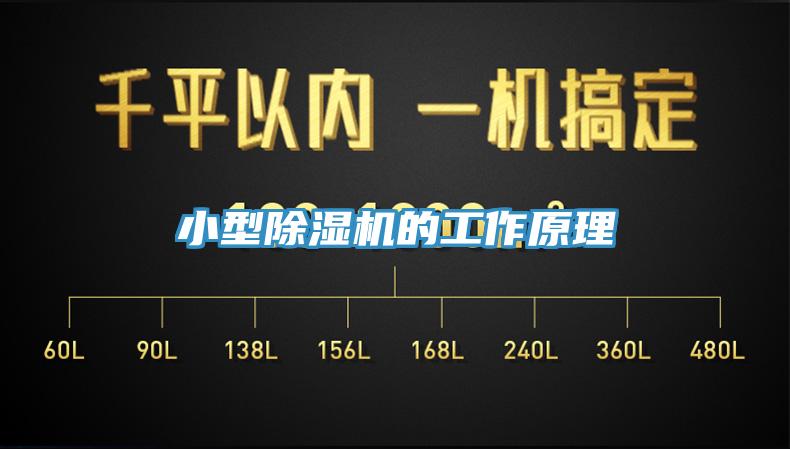 小型蘑菇视频网站的工作原理
