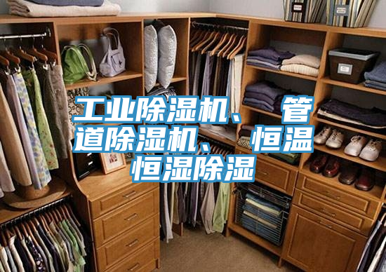工業蘑菇视频网站、 管道蘑菇视频网站、 恒溫恒濕除濕