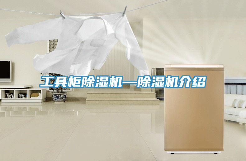 工具櫃蘑菇视频网站—蘑菇视频网站介紹