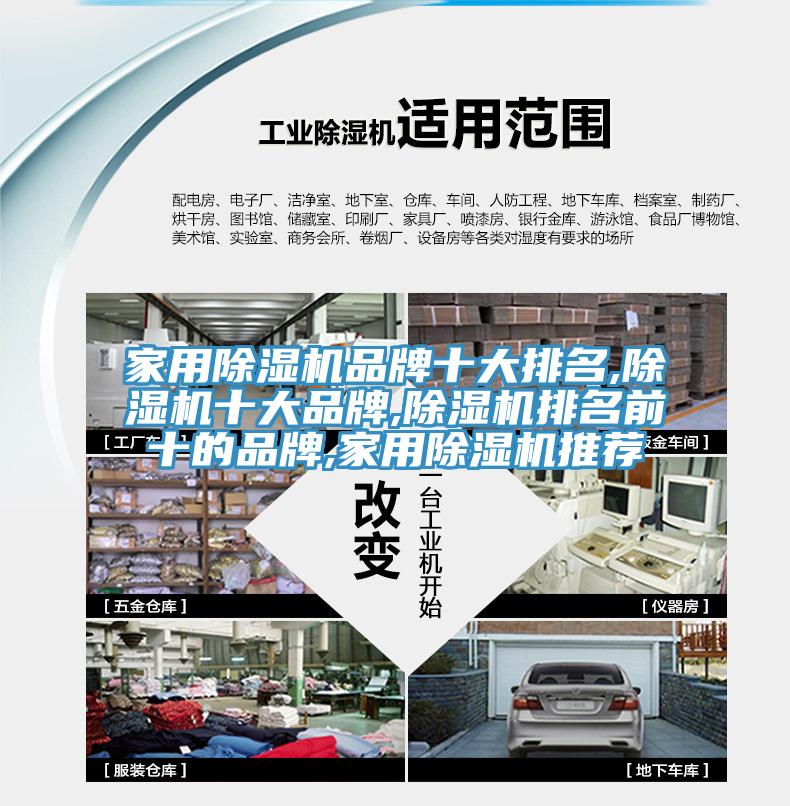 家用蘑菇视频网站品牌十大排名,蘑菇视频网站十大品牌,蘑菇视频网站排名前十的品牌,家用蘑菇视频网站推薦