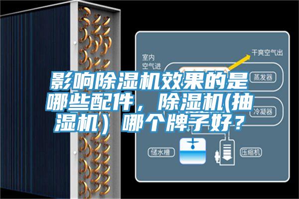 影響蘑菇视频网站效果的是哪些配件，蘑菇视频网站(抽濕機）哪個牌子好？