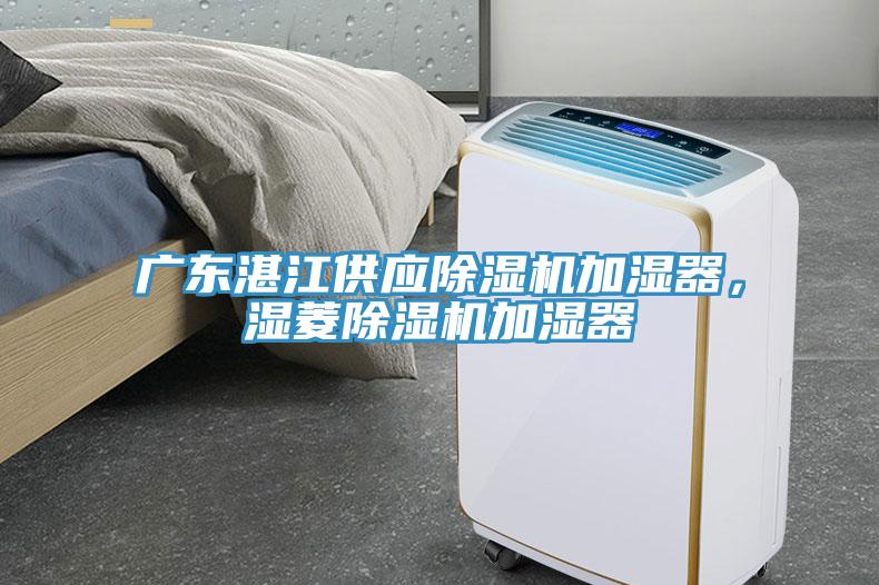廣東湛江供應蘑菇视频网站加濕器，濕菱蘑菇视频网站加濕器