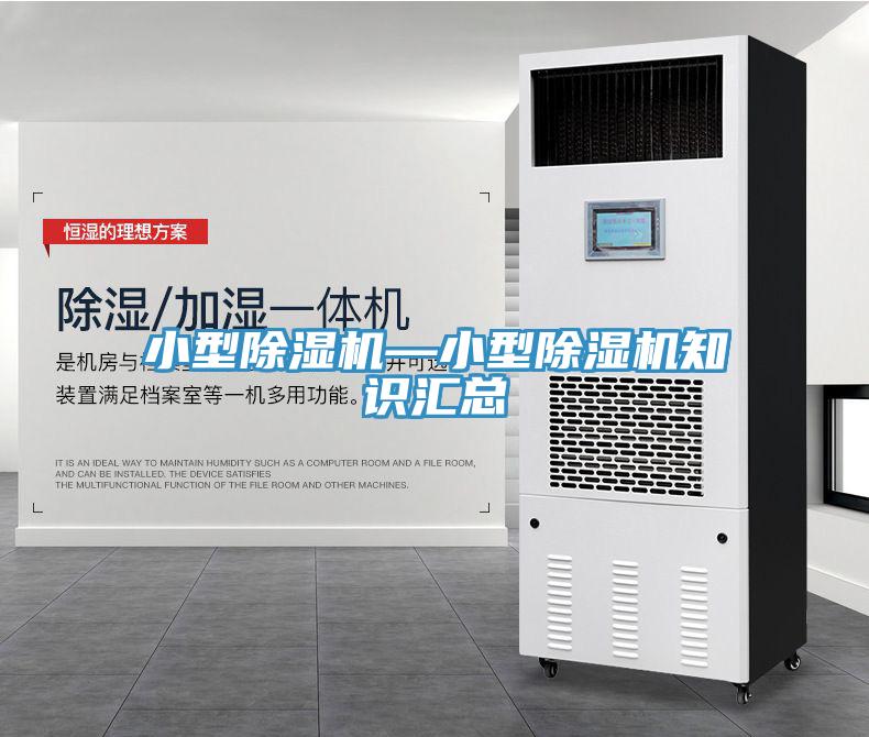 小型蘑菇视频网站—小型蘑菇视频网站知識匯總