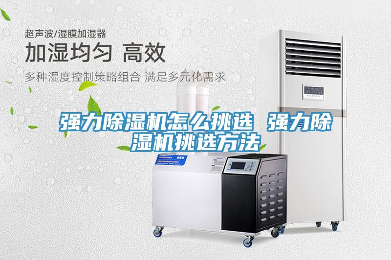 強力蘑菇视频网站怎麽挑選 強力蘑菇视频网站挑選方法