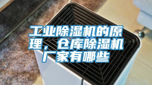 工業蘑菇视频网站的原理，倉庫蘑菇视频网站廠家有哪些