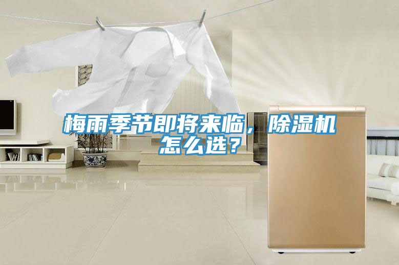 梅雨季節即將來臨，蘑菇视频网站怎麽選？