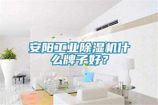 安陽工業蘑菇视频网站什麽牌子好？