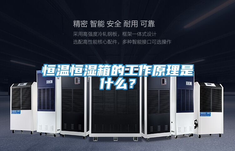恒溫恒濕箱的工作原理是什麽？