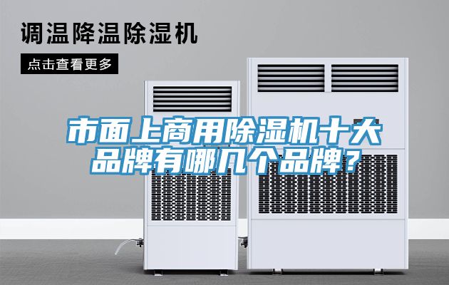 市麵上商用蘑菇视频网站十大品牌有哪幾個品牌？