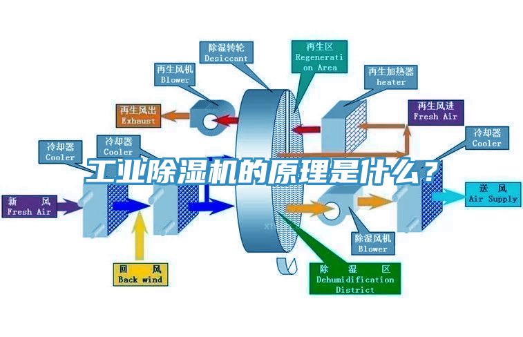 工業蘑菇视频网站的原理是什麽？