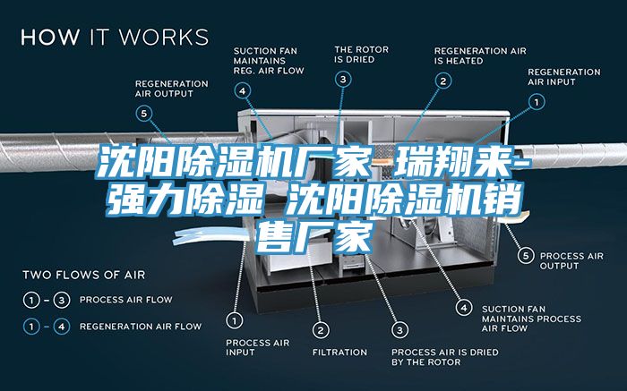 沈陽蘑菇视频网站廠家★瑞翔來-強力除濕★沈陽蘑菇视频网站銷售廠家