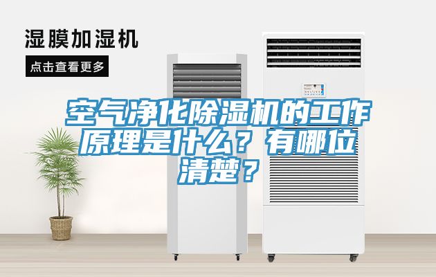 空氣淨化蘑菇视频网站的工作原理是什麽？有哪位清楚？