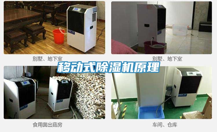 移動式蘑菇视频网站原理
