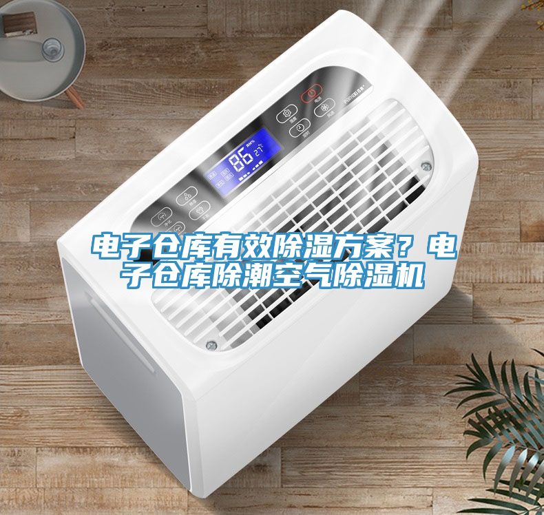 電子倉庫有效除濕方案？電子倉庫除潮空氣蘑菇视频网站
