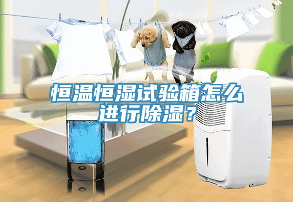 恒溫恒濕試驗箱怎麽進行除濕？