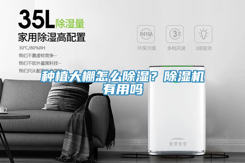 種植大棚怎麽除濕？蘑菇视频网站有用嗎