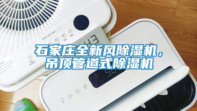 石家莊全新風蘑菇视频网站，吊頂管道式蘑菇视频网站