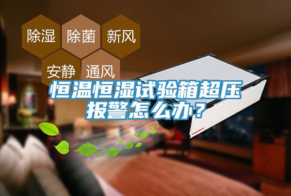 恒溫恒濕試驗箱超壓報警怎麽辦？