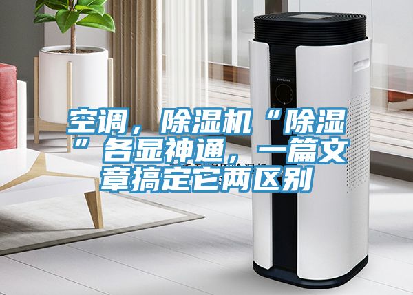 空調，蘑菇视频网站“除濕”各顯神通，一篇文章搞定它兩區別