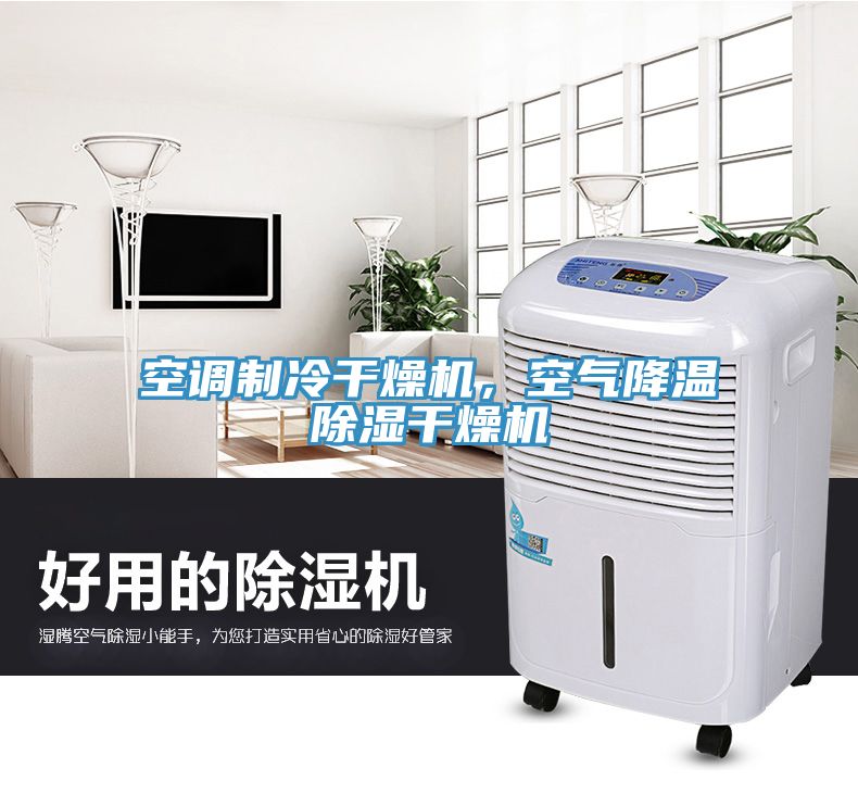 空調製冷幹燥機，空氣降溫除濕幹燥機