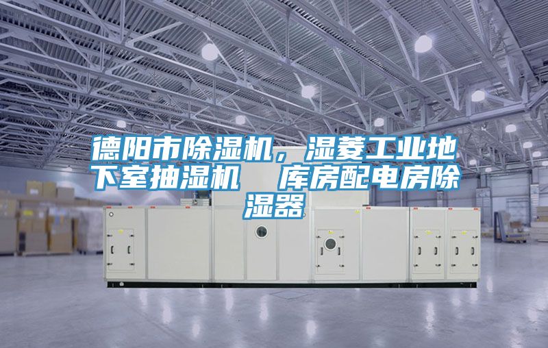 德陽市蘑菇视频网站，濕菱工業地下室抽濕機  庫房配電房除濕器