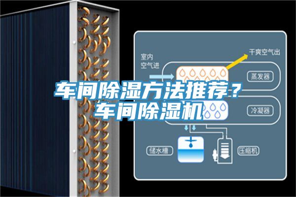 車間除濕方法推薦？車間蘑菇视频网站