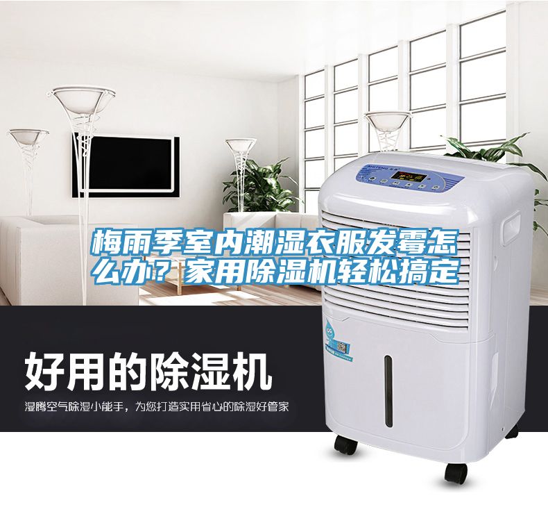 梅雨季室內潮濕衣服發黴怎麽辦？家用蘑菇视频网站輕鬆搞定