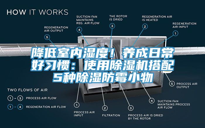 降低室內濕度！養成日常好習慣：使用蘑菇视频网站搭配5種除濕防黴小物