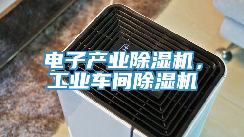 電子產業蘑菇视频网站，工業車間蘑菇视频网站