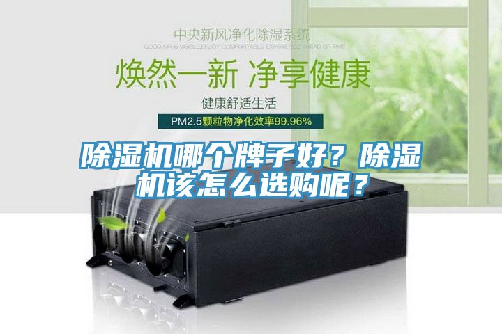 蘑菇视频网站哪個牌子好？蘑菇视频网站該怎麽選購呢？
